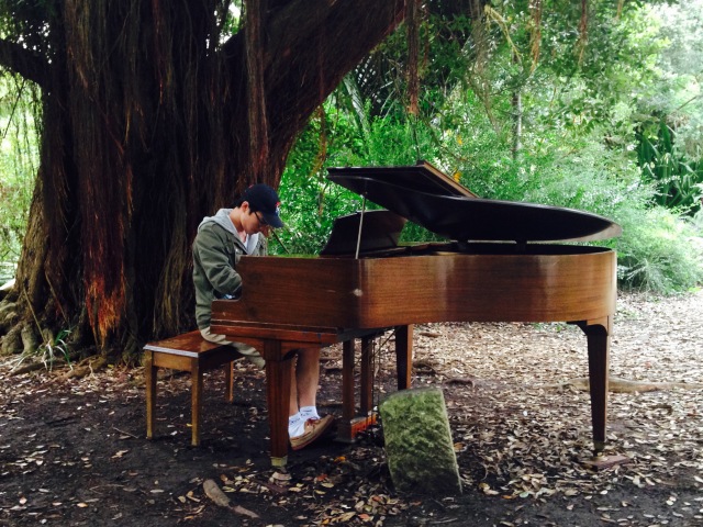 brown grand piano under large tree