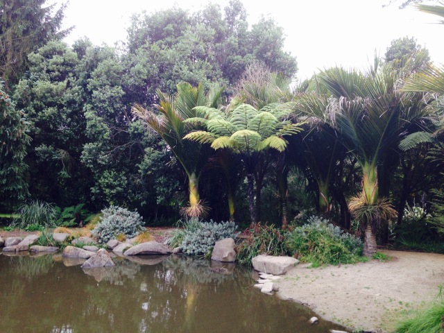pond to the side and palms